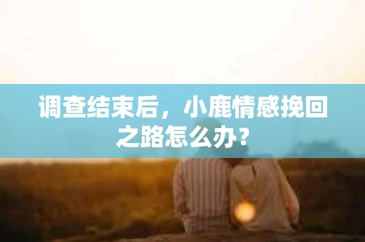 调查结束后，小鹿情感挽回之路怎么办？