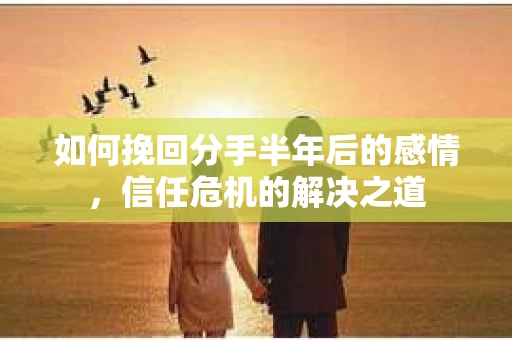 如何挽回分手半年后的感情，信任危机的解决之道