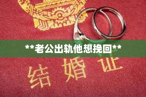 **老公出轨他想挽回**