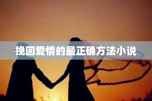 挽回爱情的最正确方法小说