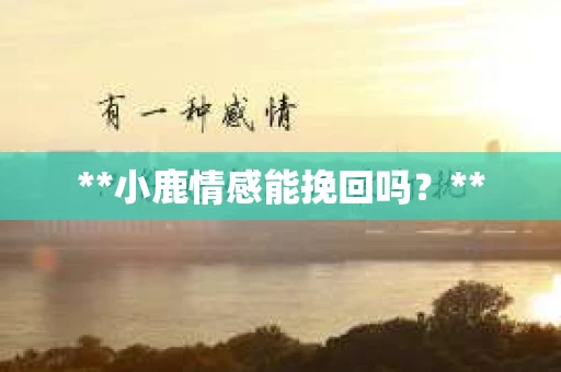 **小鹿情感能挽回吗？**
