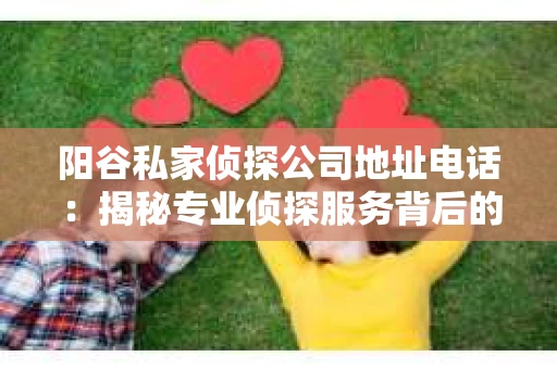 阳谷私家侦探公司地址电话：揭秘专业侦探服务背后的故事