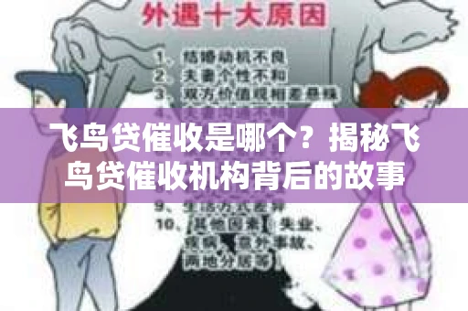 飞鸟贷催收是哪个？揭秘飞鸟贷催收机构背后的故事