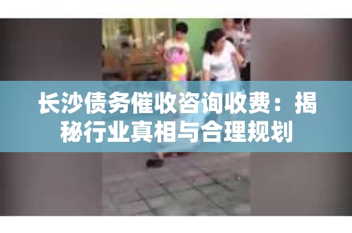 长沙债务催收咨询收费：揭秘行业真相与合理规划