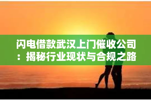 闪电借款武汉上门催收公司：揭秘行业现状与合规之路