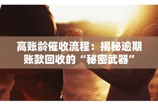高账龄催收流程：揭秘逾期账款回收的“秘密武器”