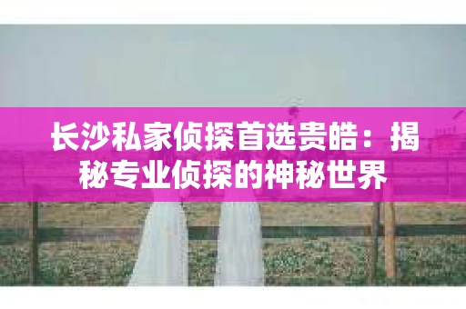 长沙私家侦探首选贵皓：揭秘专业侦探的神秘世界