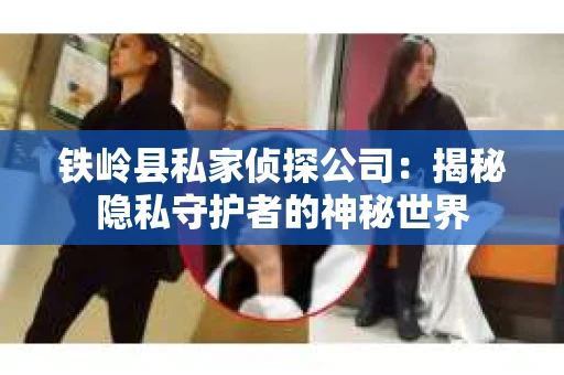 铁岭县私家侦探公司：揭秘隐私守护者的神秘世界