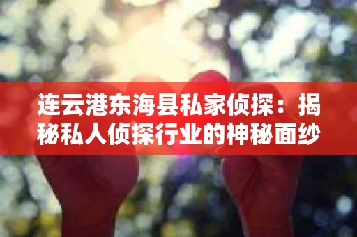 连云港东海县私家侦探：揭秘私人侦探行业的神秘面纱