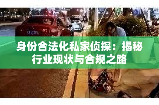 身份合法化私家侦探：揭秘行业现状与合规之路