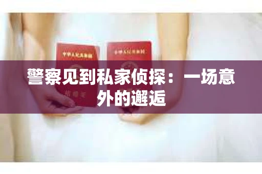警察见到私家侦探：一场意外的邂逅
