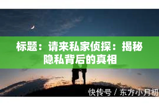 标题：请来私家侦探：揭秘隐私背后的真相