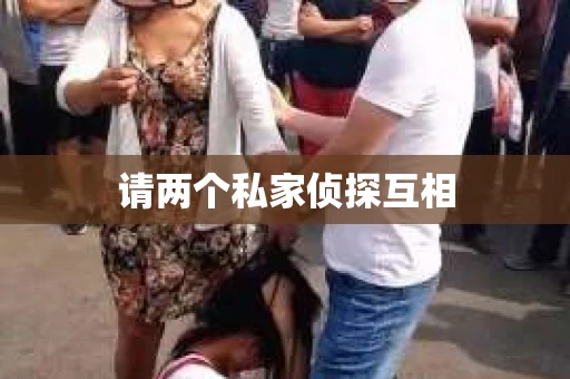 请两个私家侦探互相