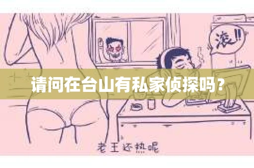 请问在台山有私家侦探吗？