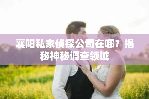 襄阳私家侦探公司在哪？揭秘神秘调查领域