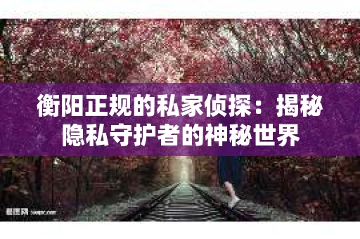 衡阳正规的私家侦探：揭秘隐私守护者的神秘世界