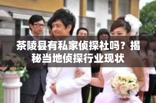 茶陵县有私家侦探社吗？揭秘当地侦探行业现状