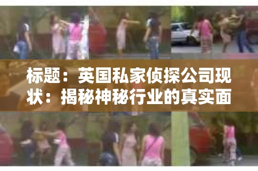 标题：英国私家侦探公司现状：揭秘神秘行业的真实面貌