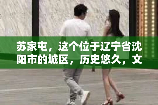 苏家屯，这个位于辽宁省沈阳市的城区，历史悠久，文化底蕴深厚。近年来，随着社会的发展，人们对于私家侦探的需求也逐渐增加。那么，苏家屯有私家侦探吗？今天，我们就来聊聊这个话题。