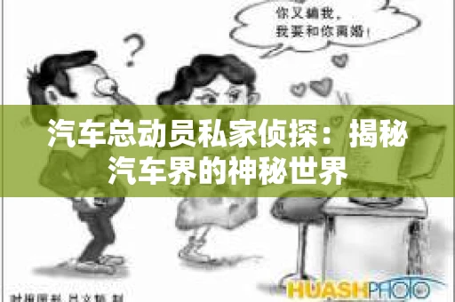 汽车总动员私家侦探：揭秘汽车界的神秘世界
