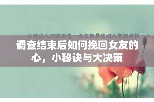 调查结束后如何挽回女友的心，小秘诀与大决策