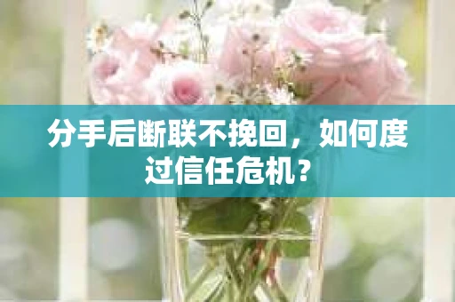 分手后断联不挽回，如何度过信任危机？