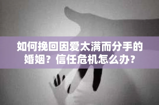 如何挽回因爱太满而分手的婚姻?信任危机怎么办? 如何挽回因爱太满而分手的婚姻?信任危机怎么办?