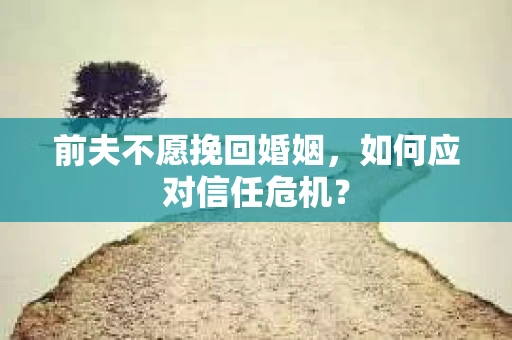 前夫不愿挽回婚姻,如何应对信任危机? 前夫不愿挽回婚姻,如何应对信任危机?