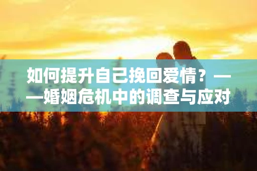 如何提升自己挽回爱情？——婚姻危机中的调查与应对策略